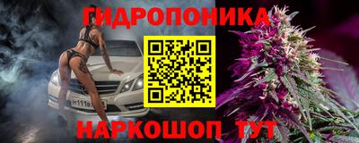 стаф Бугуруслан