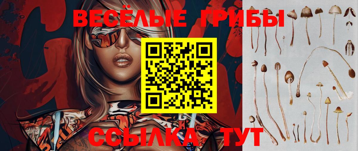 Галлюциногенные грибы прущие грибы  Вход с VPN  Корсаков  Псилоцибиновые грибы Psilocybe 