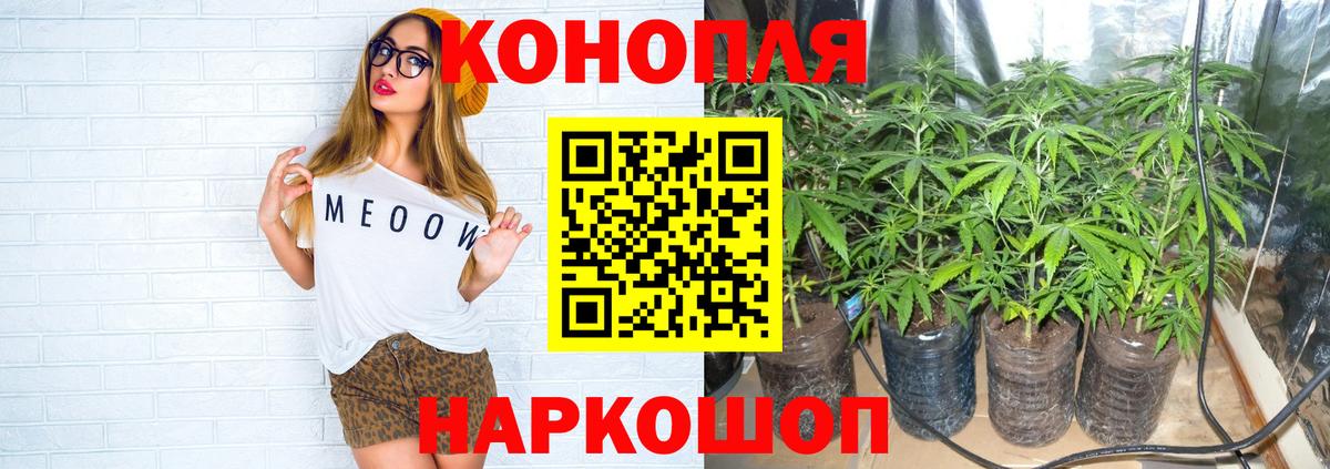 Бошки Шишки Amnesia Корсаков